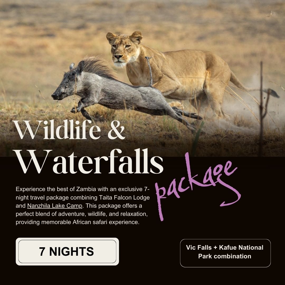 victoria falls kafue national park package