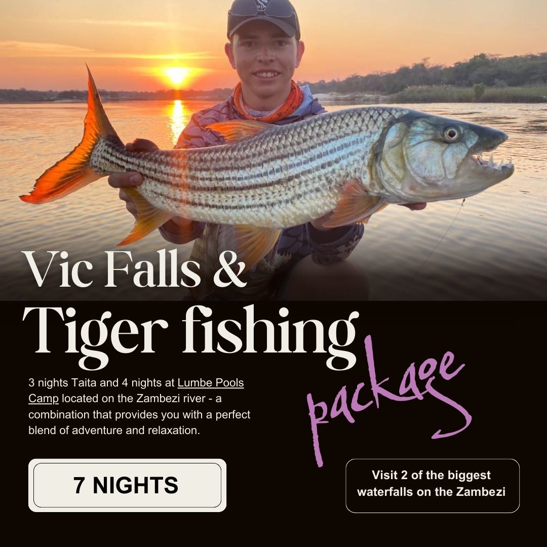 victoria falls tiger fishing package
